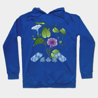 Morning Glories Hoodie